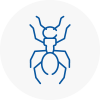 Ant Removals In Biddulph