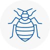 Bed Bug Extermination In Biddulph