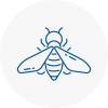 Bee Nest Removal Biddulph