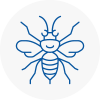 Biddulph Hornet Nest Removals
