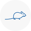 Mice Exterminators In Biddulph
