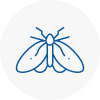 Moth Control Specialists In Biddulph