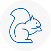 Biddulph Rodent Removals